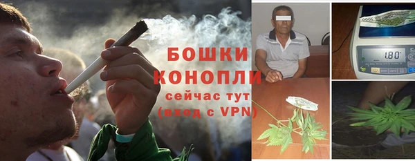 гидра Армянск