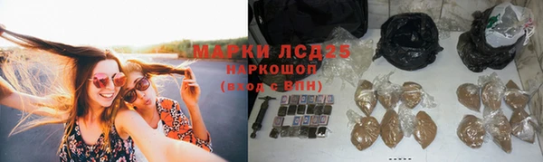 каннабис Аркадак