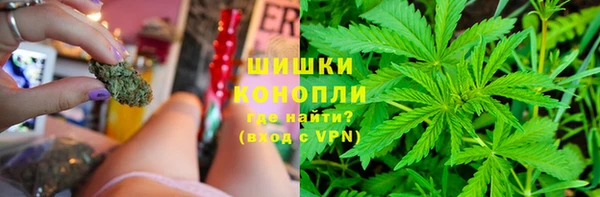 гидра Армянск