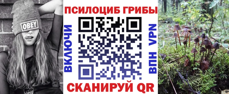 Галлюциногенные грибы Psilocybe  Шадринск 
